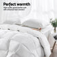 Giselle Bedding 500GSM Goose Down Feather Quilt Queen