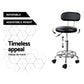 Artiss Salon Stool Swivel Chair Backrest Black