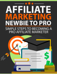 Affiliate Marketing: Newbie to Pro -Instant Download - PDF - 31pg