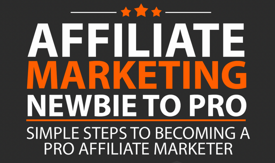 Affiliate Marketing: Newbie to Pro -Instant Download - PDF - 31pg