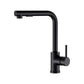 Kitchen Mixer Tap Pull Out Rectangle 2 Mode Sink Basin Faucet Swivel WELS Black