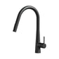 Kitchen Mixer Tap Pull Out Round 2 Mode Sink Basin Faucet Swivel WELS Black