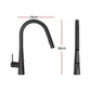 Kitchen Mixer Tap Pull Out Round 2 Mode Sink Basin Faucet Swivel WELS Black
