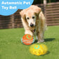 pet products Electric bouncing ball for grinding teeth and teasing pets