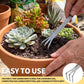 Bonsai Tools, Bonsai Root Rake, Small Root Hook,Rake Pic for Soil Loosening | Bonsai Repotting Tools, Stainless Steel,Japanese Bonsai Tools Single Hook,Heavy Duty 3-Prong,Succulent,Indoor Outdoor Planter