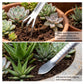 Bonsai Tools, Bonsai Root Rake, Small Root Hook,Rake Pic for Soil Loosening | Bonsai Repotting Tools, Stainless Steel,Japanese Bonsai Tools Single Hook,Heavy Duty 3-Prong,Succulent,Indoor Outdoor Planter