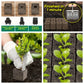 Multi-Cell Seedling Transplanter for Batch Planting-Silver