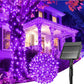 Solar String Lights Outdoor Waterproof, LED Outdoor Light | Solar Fairy Lights with 8 Lighting Modes, IP65 Waterproof Solar Christmas Halloween Lights for Outdoor Outside Tree Patio - Purple - Size 105ft 300-LED String Light