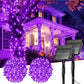 Solar String Lights Outdoor, 2 Pack LED Solar Outdoor Lights | Solar Fairy Lights with 8 Lighting Modes, Waterproof Solar Christmas Halloween  Lights for Outside Tree Garden Balcony Gazebo Party - Purple - Size 72ft 200-LED String Light