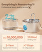 Cat Water Fountain Stainless Steel Cat Fountain Cat Hydration Cat Drinking