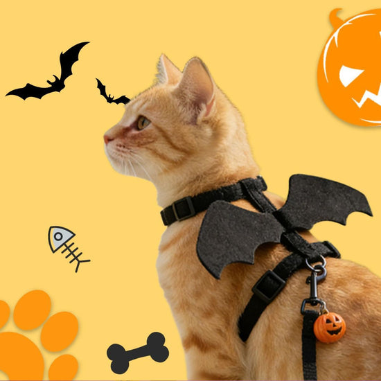 Cat Harness and Leash with Bat Wings, Escape Proof Leash | Halloween Costumes, Thickened Polyester Fabric, Lightweight Felt, Adjustable Vest, Easy Control, for Small Dogs Cats Rabbits - Black - Size M