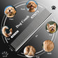 Dog Grooming Scissors Cat Grooming Scissors 4-In-1 Grooming Set Pet Grooming - Blue