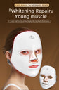 Facial Beauty Device LED Skin Whitening Anti-Aging Skincare
