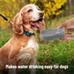 Portable Dog Water Bottle 19 Ounces Dog Water Bottle Large Dog Water Dispenser