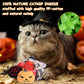 Halloween Catnip Toys,Pumpkin Ghost Catnip Toy Chew Bite Toy for Cat Interactive, Pack of 6