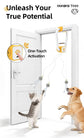 Interactive Cat Toy Electric Cat Teaser Remote Control Cat Toy Door Clip Cat