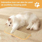 2PC Cat Toys Catnip Toys Interactive Cat Toys Catnip Kicker Soft Sisal Pillow Cat