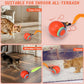 Interactive Cat Toy Cat Ball Toy Feather Worm Toy Cat Toy With Bells Australian