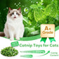 3 Cat Toys Australia Fish-Shaped Cat Toys Catnip Toys Cat Scratching Stick