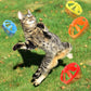 18 Pieces Interactive Cat Fetch Tracking Toys With 5 Colors Flying Propellers for Indoor Pet Kitty Training Chasing，Random color