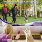 Cat Toy Interactive Cat Toy Flying Disc Cat Toy Pet Toy Cat Entertainment