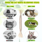 5 Cat Chew Sticks Cat Toys Cat Dental Care Natural Cat Toys Kitten Teething Toys