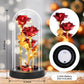 Eternal Blue Rose in Glass Dome with LED Lights, Romantic Forever Flower Gift for Valentine’s Day Anniversary Mother’s Day Birthday (Red)