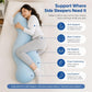 Pea Pod Shape Body Pillow for Adults Full-Body Support Side Sleeper Pillow, Pregnancy Back Pain Relief, Soft Hug Pillow with Memory Fiber Filling(Blue,43.3in)