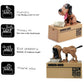 Interactive Dog Coin Bank – Automatic Electric Money Saving Piggy Bank with Moving Dog Design – Fun Kids Gift & Desk Decor (Brown)