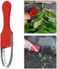 Hand Loop Weed Puller Tool, Stainless Steel Weeder for Garden Beds – 304 Steel Loop Blade, Food-Grade PP Handle, 1.1 oz, 24cm, Rust-Proof for All Soils