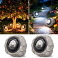 2Pack Solar Rock Lights Outdoor – Ash Gray Garden Stone Spotlights with IP65 Waterproof LED, Switchable Warm & Cool White, Auto On/Off for Pathway, Walkway, Yard & Patio(gray)
