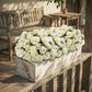8 Pcs Artificial Red Geranium Silk Flowers for Outdoor Patio Garden & Indoor Home Decor (White)