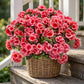 8 Pcs Artificial Red Geranium Silk Flowers for Outdoor Patio Garden & Indoor Home Decor (Pink)