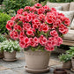 8 Pcs Artificial Red Geranium Silk Flowers for Outdoor Patio Garden & Indoor Home Decor (Pink)