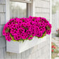 8 Pcs Artificial Red Geranium Silk Flowers for Outdoor Patio Garden & Indoor Home Decor (Rose Red)