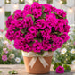 8 Pcs Artificial Red Geranium Silk Flowers for Outdoor Patio Garden & Indoor Home Decor (Rose Red)