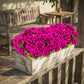8 Pcs Artificial Red Geranium Silk Flowers for Outdoor Patio Garden & Indoor Home Decor (Rose Red)