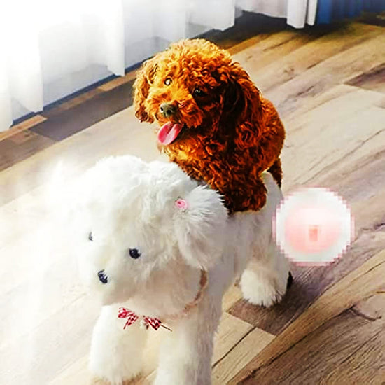 Pet Behavioral Support Doll – Realistic Canine Companion Toy for Stress Relief, Made of TPE Silicone & Soft Fur, Stable Suction Base, 1:1 Anatomical Design, for Small to Medium Dogs (White, Channel Height 13cm)