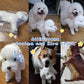 Pet Behavioral Support Doll – Realistic Canine Companion Toy for Stress Relief, Made of TPE Silicone & Soft Fur, Stable Suction Base, 1:1 Anatomical Design, for Small to Medium Dogs (White, Channel Height 13cm)