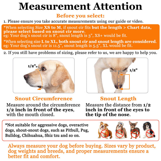 Soft Mesh Dog Muzzle for Small Medium Large Dogs – Breathable Adjustable Anti-Bite Chewing Guard with Overhead Strap – Fits Labrador, German Shepherd, Golden Retriever – 5 Sizes (Grey,M)