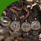 4 Pack Underground Worm Composting Bin with Lid, Metal Mesh Bucket for Organic Waste, Garden Soil Enrichment Tool (Silver)