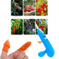 2-Piece Fruit Picking Tool Set for Home Gardens & Small-Scale Farms-Blue+Orange