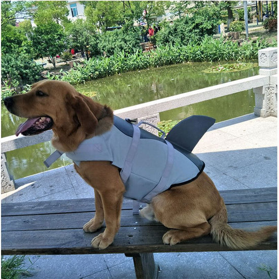 Pet products Dog Life Jacket, Cute Shark Dog Life Vest for Swimming Boating with Superior Buoyancy and Rescue Handle, Adjustable Puppy Floating Swim Vest for Small Medium Large Dogs(M)