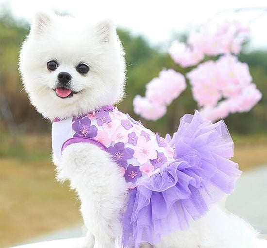 pet products Fall Dog Dresses for Small Dogs Girl 3 Pack Summer Puppy Clothes Outfit Apparel Female Cute Cat Skirt