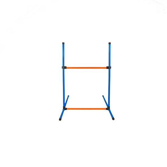 Dog Agility Training Set for Pets