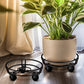 Movable Iron Potted Plant Stand for Home Garden Decoration-Black