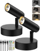 Spotlights Indoor, No-Glare Rechargeable Floor Can Light for Plants with Remote, Wireless Art Accent Spot Lights Uplight for Painting, Picture, Dartboard, Home, Corner Sofa Display 2PCS