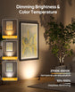Spotlights Indoor, No-Glare Rechargeable Floor Can Light for Plants with Remote, Wireless Art Accent Spot Lights Uplight for Painting, Picture, Dartboard, Home, Corner Sofa Display