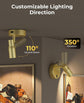 Spot Lights Indoor, Rechargeable Picture Light with Remote, Dimmable CCT Spotlight for Wall Art, 6000mAh Battery Uplights Indoor with Timer for Plant Artwork Painting Sofa Corner Light Gold