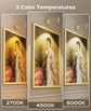 Zoomable Picture Light for Wall, Battery Operated Art Light for Paintings CCT Dimmable Spotlight for Wall Art Wall Light with Remote Control for Living Room Gallery Dartboard Bathroom Light Gold